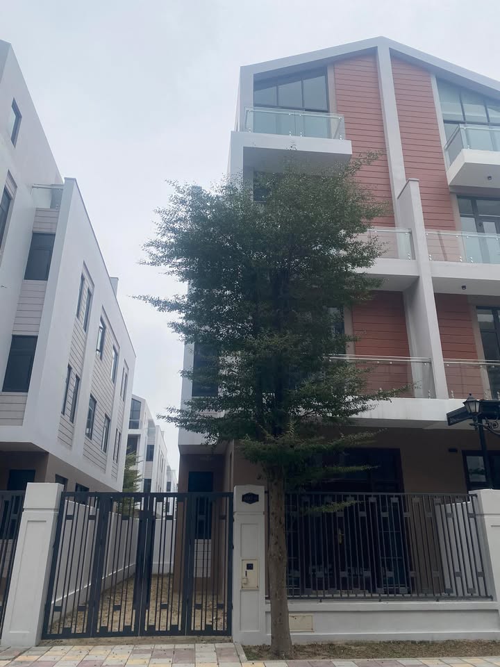 Căn hộ AD 12, Nhân Chính, 120m² giá 15.9 tỷ - Chính chủ bán gấp!