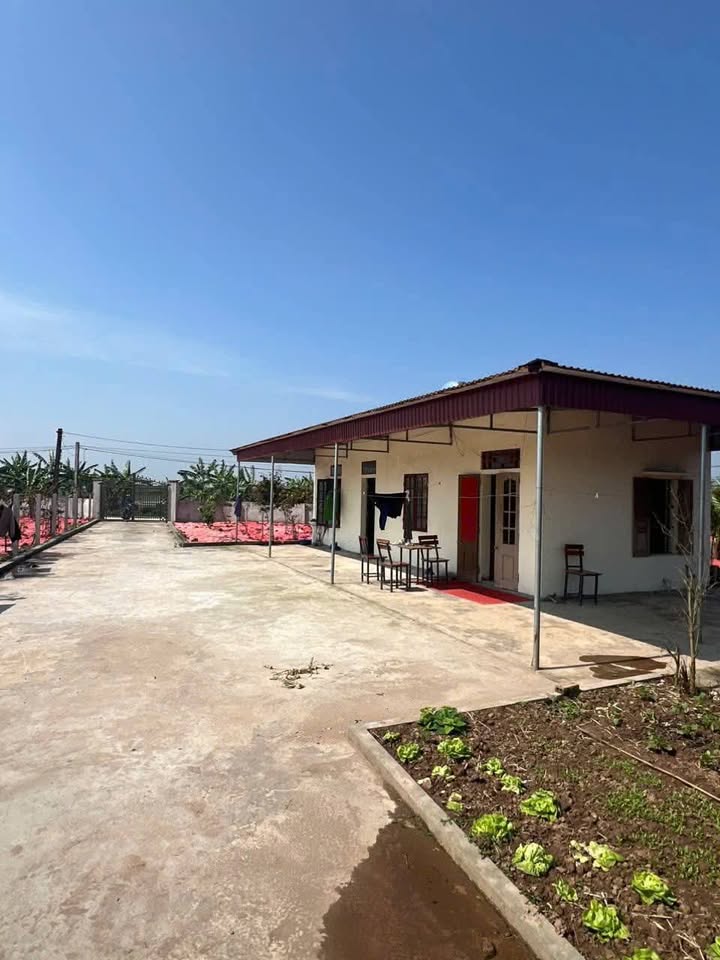 Đất nền khu 3 Thị trấn Rạng Đông 1209m² giá 2 tỷ - Pháp lý rõ ràng, sẵn sàng giao dịch!