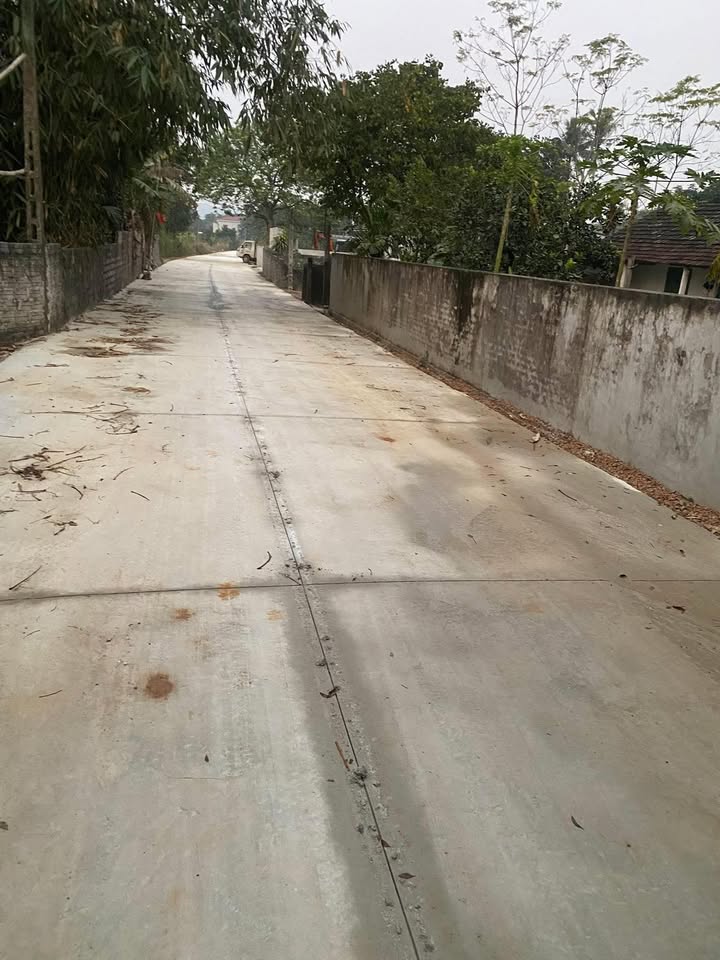 Đất nền Yên Sơn, Tam Điệp 200m² giá 1 tỷ - Đầu tư lý tưởng!