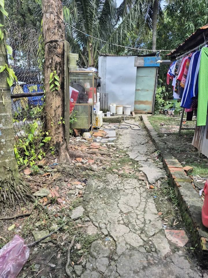 Bán đất nền ấp Phước Lợi, Thạnh Lộc, 203m² - Sổ hồng chính chủ!