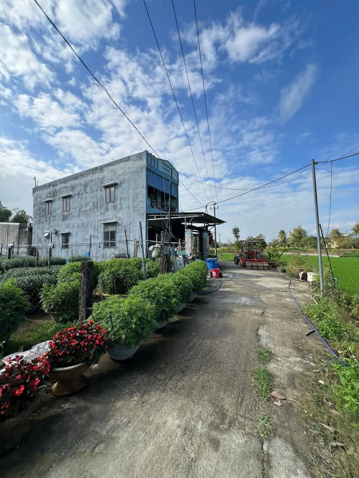 Đất nền Hòa Vang Đà Nẵng 113m² giá 1.55 tỷ - Đầu tư sinh lời ngay!