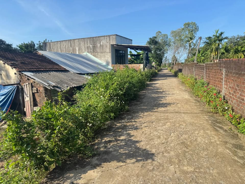 Đất liền kề Hòa Phú, Đà Nẵng - Diện tích 132m², Giá chỉ 4xx triệu - Đầu tư sinh lời nhanh!