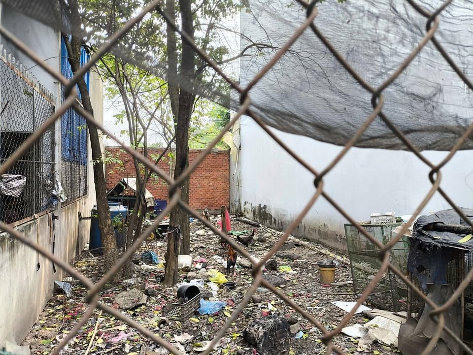 Lô đất mặt tiền Tân Hiệp, Hóc Môn 86m² giá 3.45 tỷ - Cơ hội hiếm có!