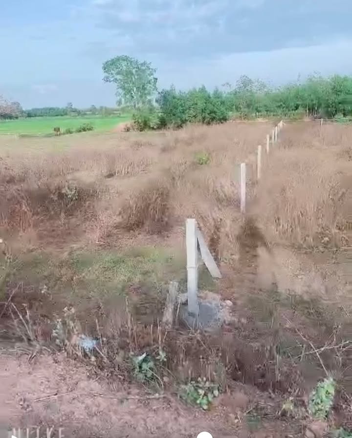 Đất nền 230m² mặt tiền ĐT788B, xã Phước Vinh, Tây Ninh giá chỉ 295 triệu - Cơ hội đầu tư tuyệt vời!