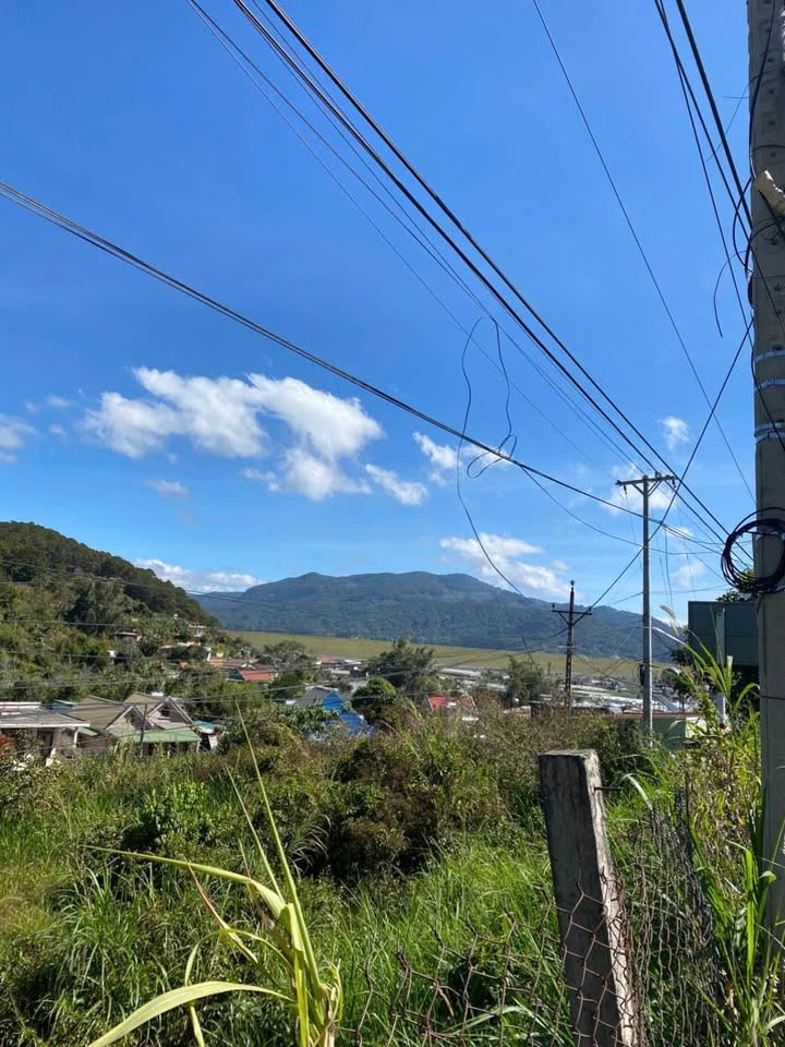 Đất mặt tiền Quốc lộ 20 Đạ Nhim 1415m² giá 5 tỷ - Đầu tư sinh lời lý tưởng!