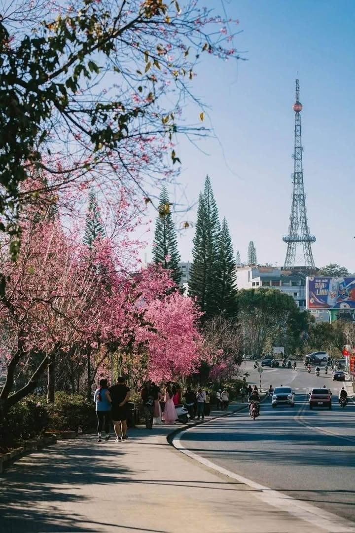 Biệt thự hiện đại Đà Lạt 570m² giá 32 tỷ - Bán gấp cuối năm!