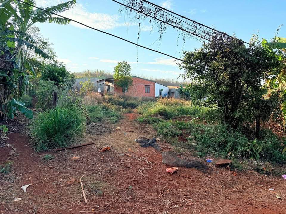 Đất nền trung tâm Thị trấn M'Đrắk 165m² giá 490 triệu - Cơ hội vàng đầu tư!