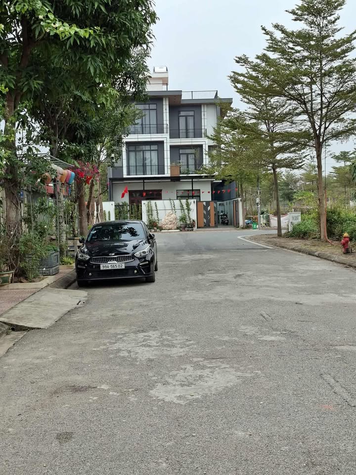 Đất Nền DABACO Thuận Thành 100m² - Vỉa Hè Rộng, Kinh Doanh Sầm Uất