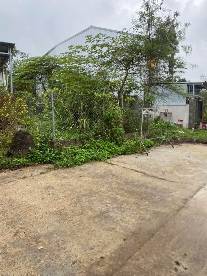 Đất nền Kiệt Ô Tô Phan Kế Bính 164m² giá 1 tỷ - Đầu tư sinh lời ngay!