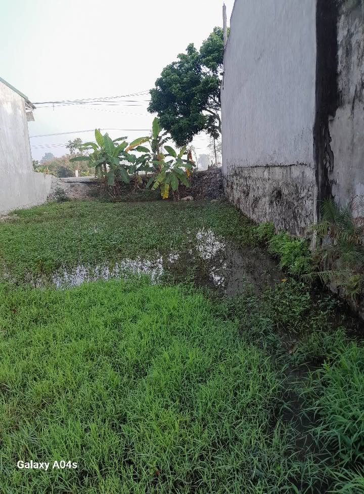 Đất nền chính chủ xã Thiệu Chính 100m² giá chỉ 1.2 tỷ - Đầu tư sinh lời ngay!