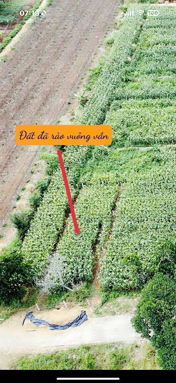 Đất thổ cư phường Khánh Xuân 120m² giá 585 triệu - Đầu tư sinh lời ngay!