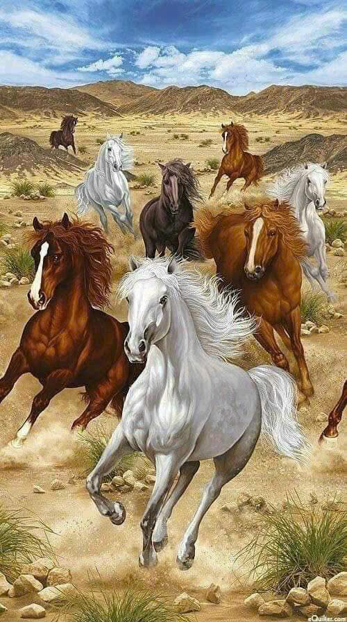 Đất nền đẹp tại ĐH Quang Trung, 125m² giá 2.2 tỷ - Cơ hội đầu tư tuyệt vời!