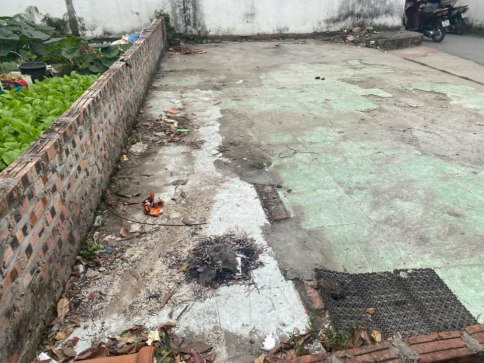 Đất nền Thị trấn Trạm Trôi 55m² giá 4 tỷ - Sổ đỏ chính chủ, pháp lý chuẩn!