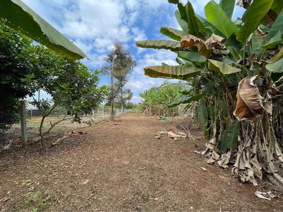 Đất thổ cư Bình Lộc, Long Khánh 500m² giá chỉ 2 tỷ - Cơ hội đầu tư tuyệt vời!