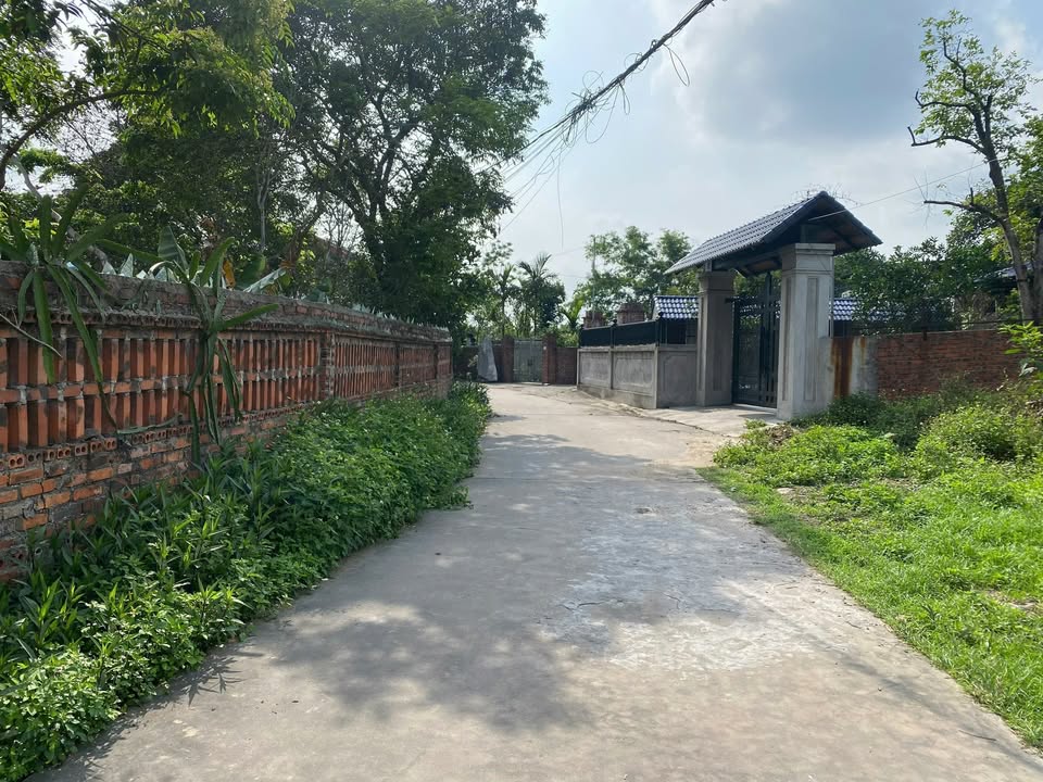 Đất nền 98,7m² tại Tràng Lương - Giá chỉ 5xx triệu - Lộc phát tài lộc!