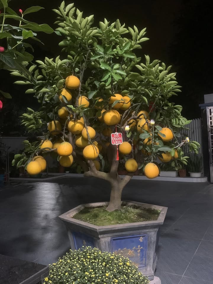 Đất nền Xuân Thu Sóc Sơn 80m² giá 1 tỷ - Chính chủ cần bán gấp!