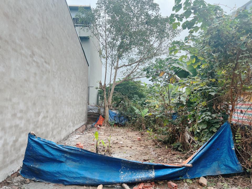 Đất nền Đồi Vũ, TP Việt Trì, 83.6m² giá 4.2 tỷ - Đầu tư sinh lời ngay!