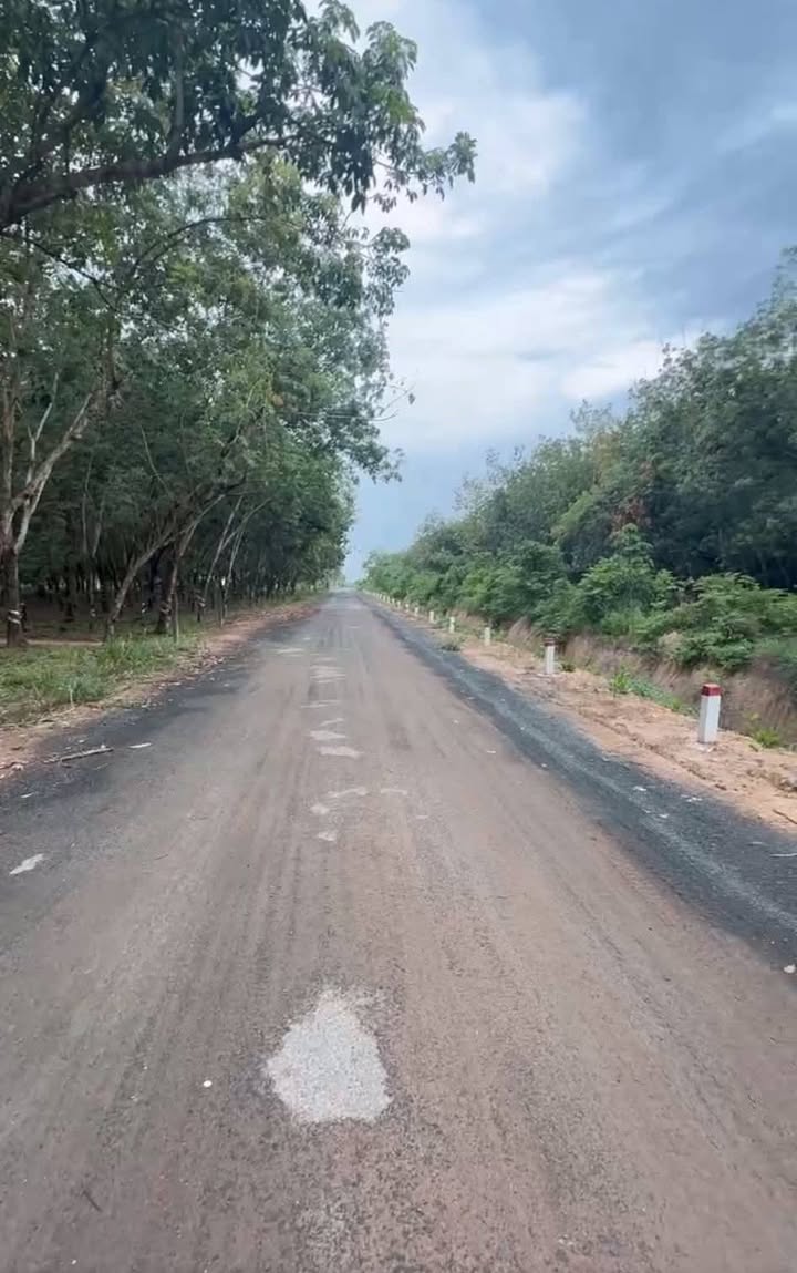 Đất Farm Tân Thành, Tân Châu, Tây Ninh 330.000m² giá 24.75 tỷ - Đầu tư sinh lời ngay!