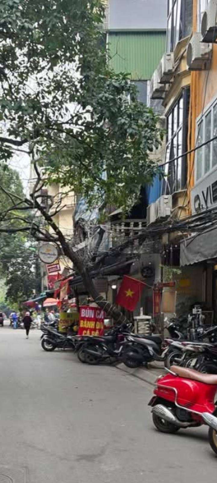 Nhà Mặt Ngõ Quỳnh 45m² x 5 Tầng - Kinh Doanh Đỉnh Cao - 12 Tỷ