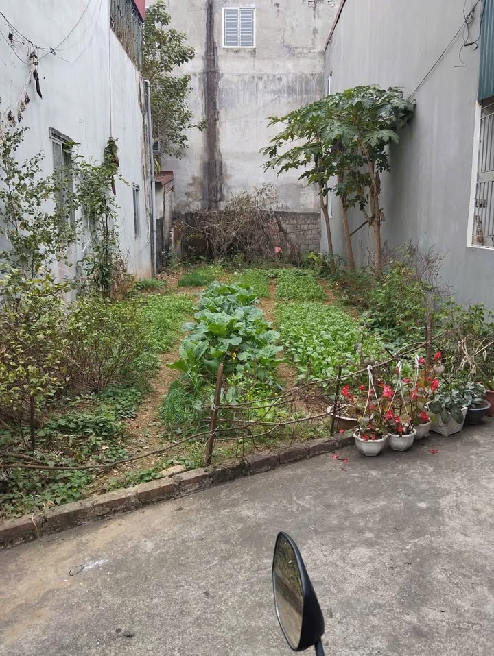 Lô đất khối 6 phường Đông Kinh 103m² giá 2.35 tỷ - Vị trí thuận lợi gần chợ