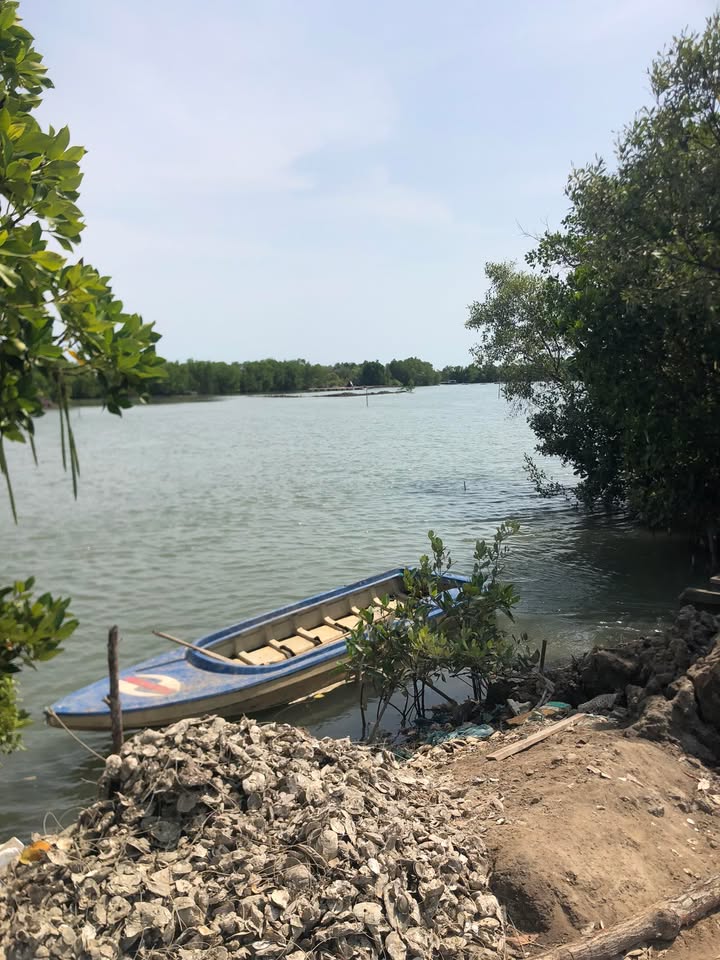 Đất nền Thị trấn Long Hải 320m² giá 3.1 tỷ - Sổ đỏ riêng, đường bê tông xe tải vào tận nơi!