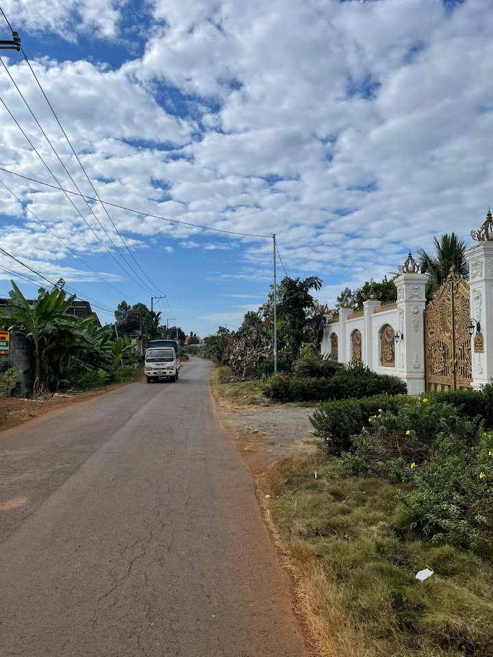 Đất thổ cư Xã Thạnh Phú 120m² giá 700 triệu - Cơ hội đầu tư hấp dẫn!