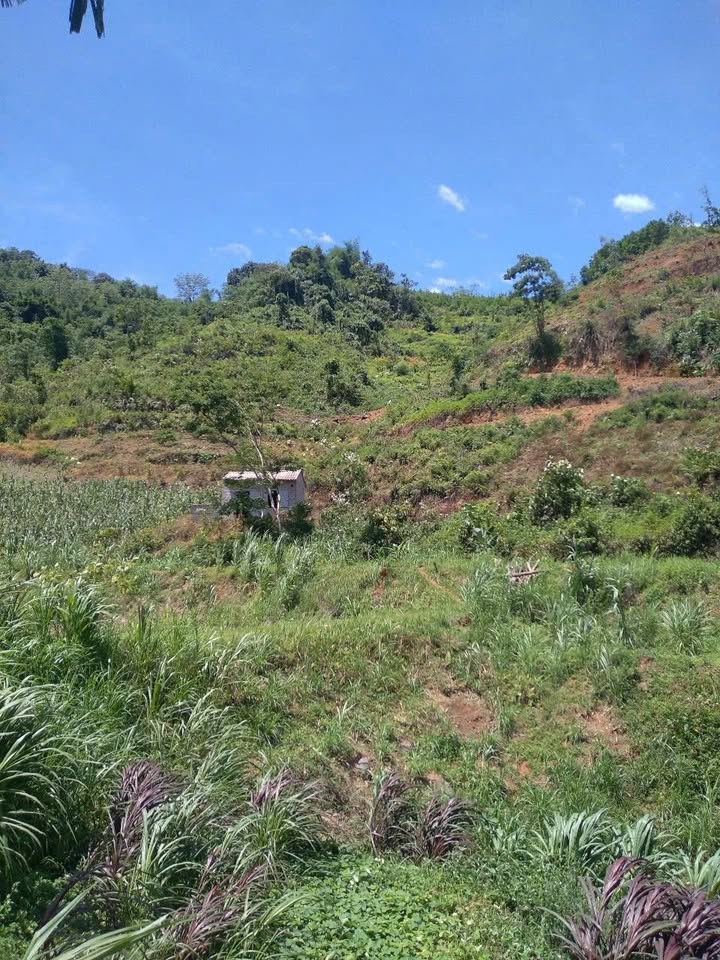 Đất nghỉ dưỡng 6000m² Xã Khánh Thượng, Ba Vì giá chỉ 4 tỷ - Cơ hội đầu tư không thể bỏ qua!