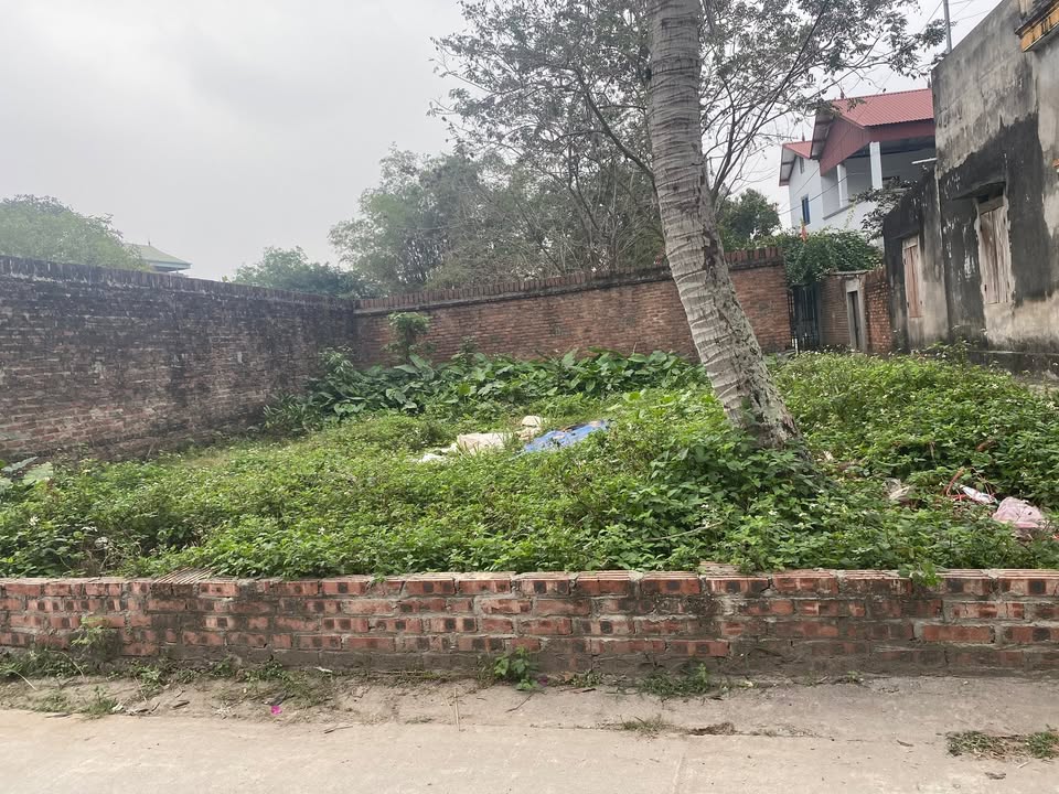 Đất nền lô góc 139m² Quốc lộ 3, Đông Anh - Tiềm năng đầu tư lớn!