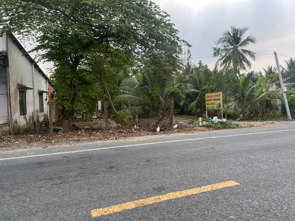 Đất thổ cư 100m² mặt tiền TL883, chỉ 2.7 tỷ - Cơ hội đầu tư sinh lời!