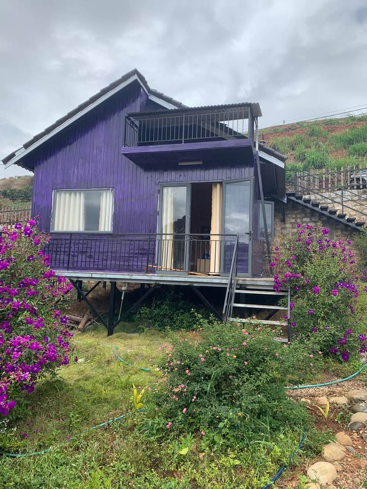 Lô đất nghỉ dưỡng Quảng Thắng Đà Lạt 604m² giá 4 tỷ - View rừng thông tuyệt đẹp!