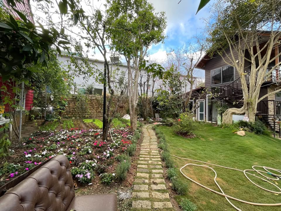 Đất thổ cư 200m² ngay hẻm ô tô An Bình, Đà Lạt - Khu dân cư yên tĩnh