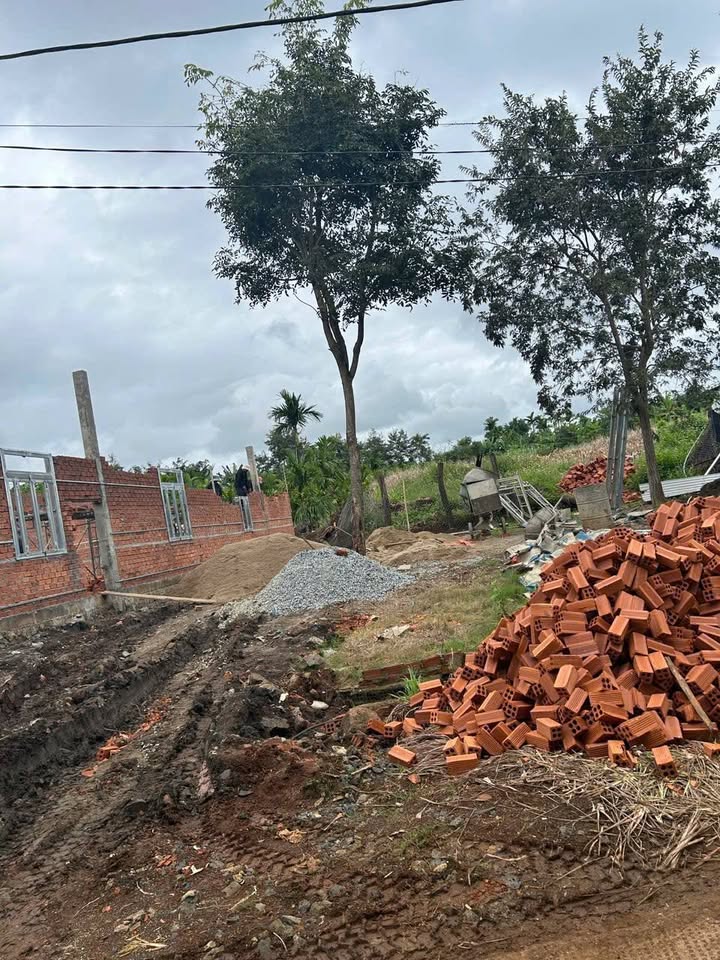 Đất nền Xã Ea Phê, Huyện Krông Pắc, 1368.9m² - Cơ hội đầu tư tuyệt vời!