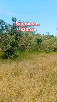 Đất nông nghiệp 5 sào tại Thanh Sơn, Định Quán, giá 320 triệu - Cơ hội đầu tư hấp dẫn!