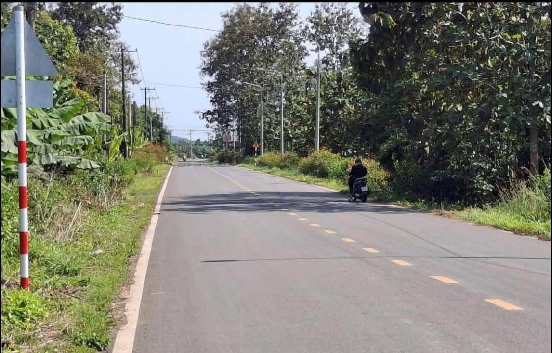 Đất nền FrontHouse xã Phú Vinh, Đồng Nai 220m² giá 800 triệu - Đầu tư sinh lời ngay!