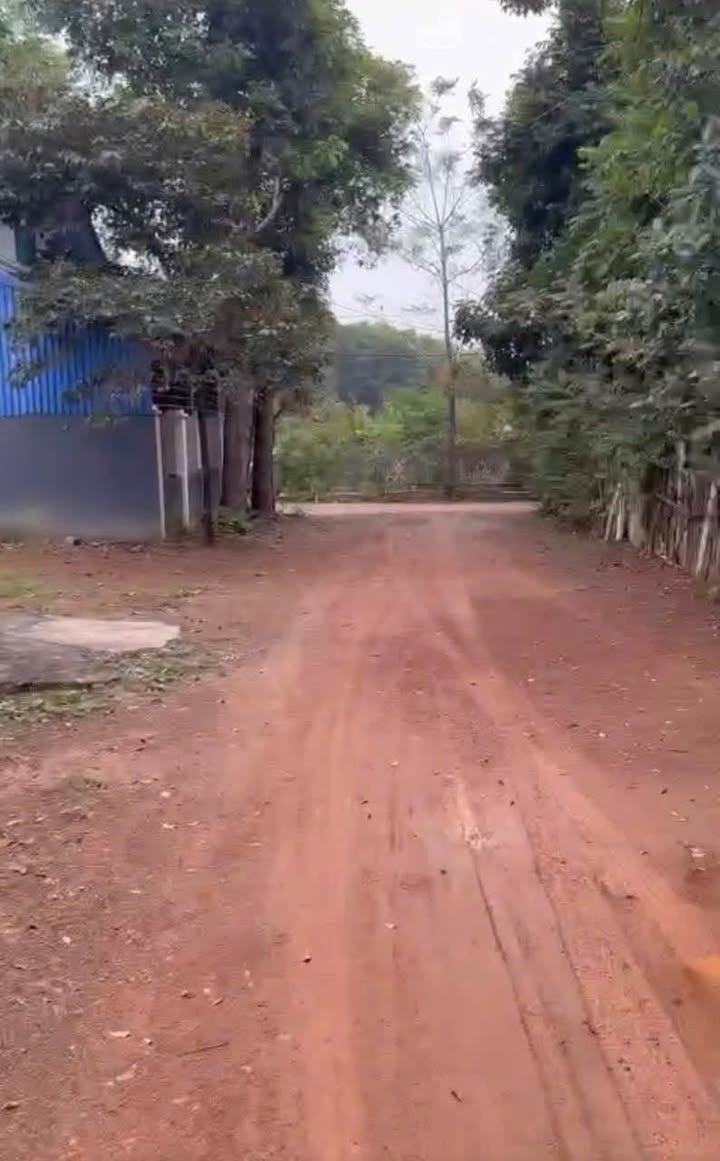 Đất nền tại phường Tùng Thiện, Sơn Tây 138m² giá 1.8 tỷ - Đầu tư sinh lời ngay!