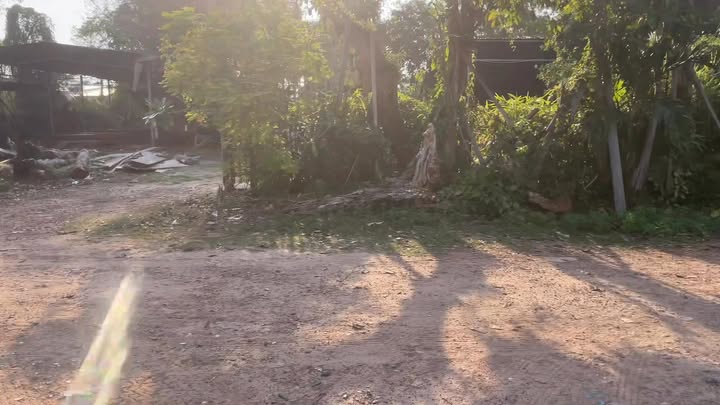 Đất thổ cư 234m² Khu phố Long Yên, Tây Ninh - Cơ hội đầu tư hấp dẫn!