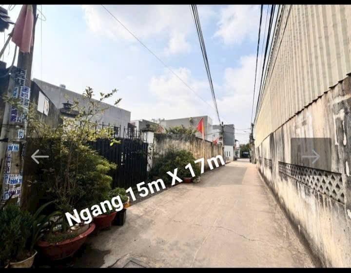 Đất nền 255m² Phường An Phú Đông Quận 12 giá 11.8 tỷ - Cơ hội đầu tư sinh lời