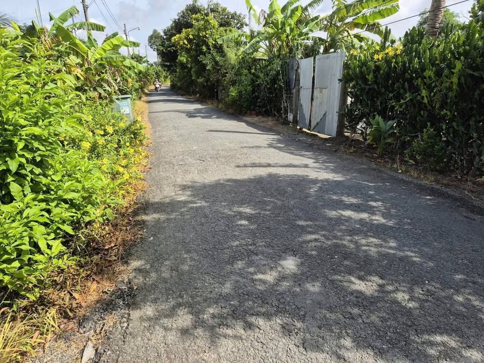 Đất nền liền kề tại Thị trấn Cái Nhum, Huyện Mang Thít, Vĩnh Long - Giá chỉ 475 triệu!