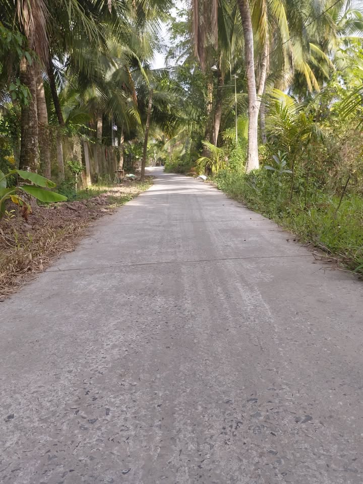 Đất vườn 850m² tại xã Bình Trưng, Đồng Tháp - Giá chỉ 1.062 tỷ - Cơ hội đầu tư hấp dẫn!