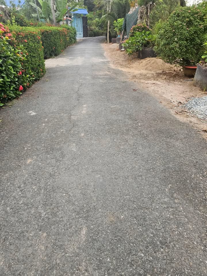 Đất trống 6000m² tại Xã Mỹ Hạnh Trung, Thị xã Cai Lậy - Giá 2.4 tỷ, mặt tiền nhựa 4m