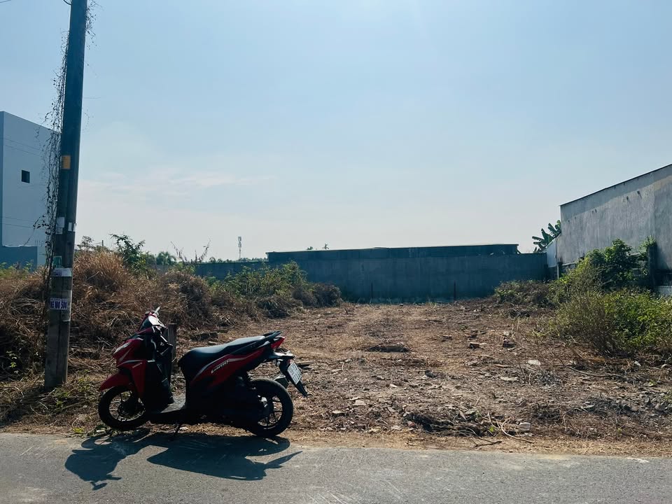 Đất nền 125m² mặt tiền Đường Số 30, xã Tân Thông Hội, Củ Chi - Giá chỉ 2.55 tỷ!