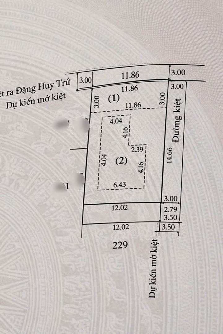Đất kiệt ô tô Đặng Huy Trứ, Trường An 218m² - Vị trí đẹp, giá tốt!
