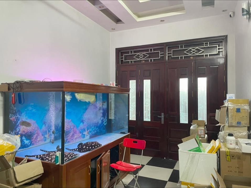 Nhà 3 Tầng Phường Tân Bình 60m² giá 3.65 tỷ - Thiết kế hiện đại, ô tô vào tận nơi!