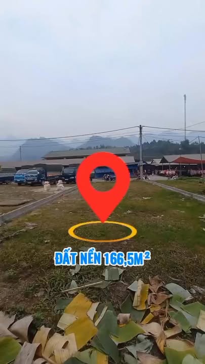 Đất nền thổ cư Xã Xuân Quang 166,5m² giá chỉ từ 600 triệu - Đối diện chợ sầm uất!