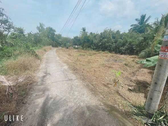 Đất nền Phường Tân Hội, TP. Vĩnh Long 106m² chỉ 490 triệu - Đầu tư sinh lời ngay!