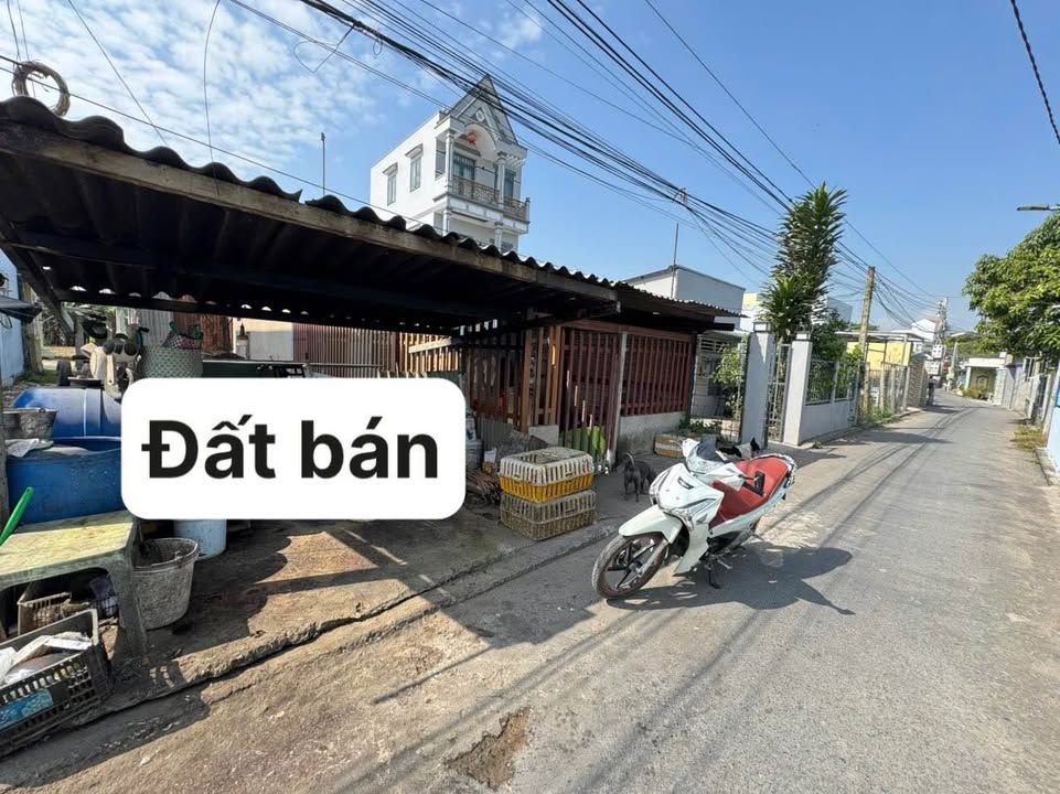 Đất thổ cư Long Hòa, Cần Đước 84m² giá 999 triệu - Sổ hồng riêng, chợ Rạch Kiến ngay gần!