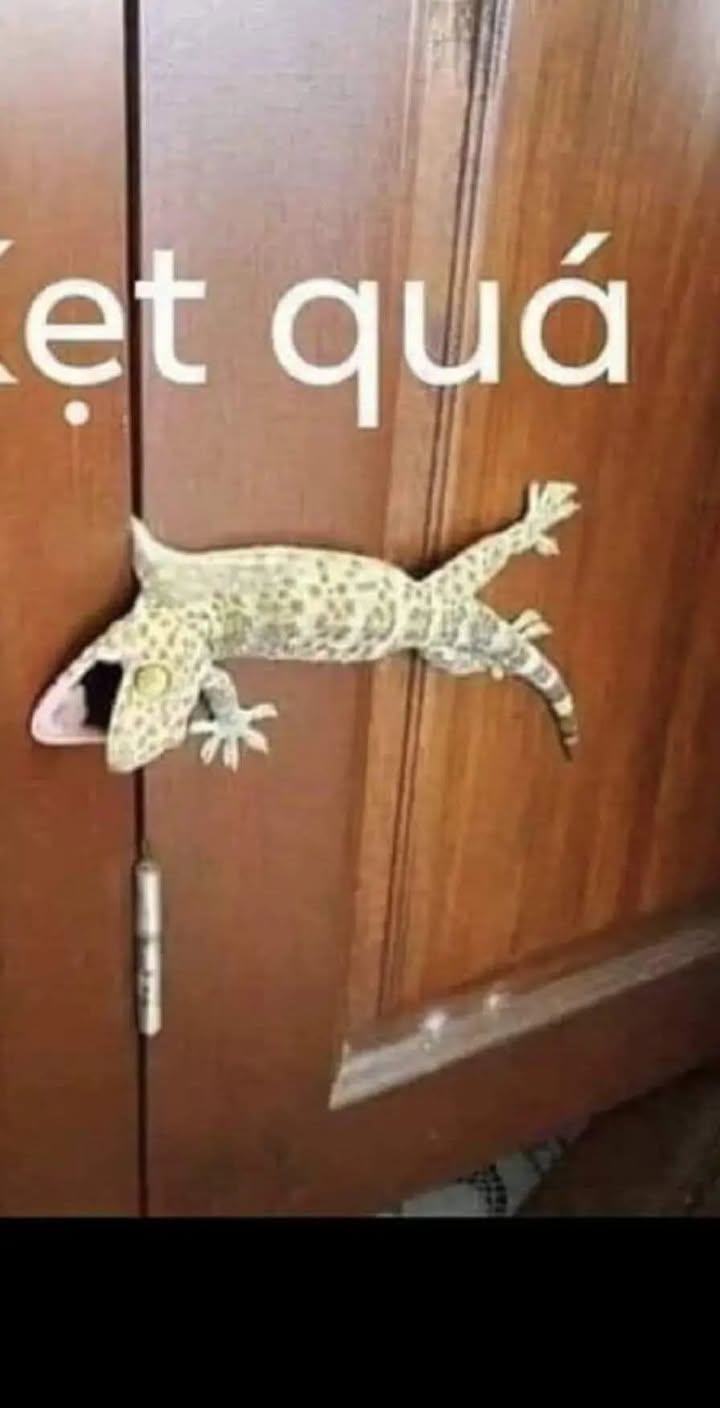 Nhà máy 3.5ha tại Hưng Yên giá 175 tỷ - Vị trí đắc địa, sẵn sàng cho thuê!