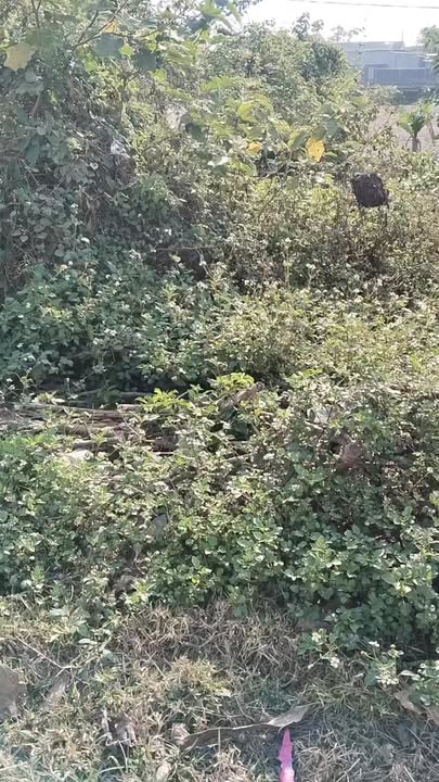 Đất nền Diễn Trường 208m² giá 3.1 tỷ - Vị trí đắc địa bám Quốc lộ 1A!