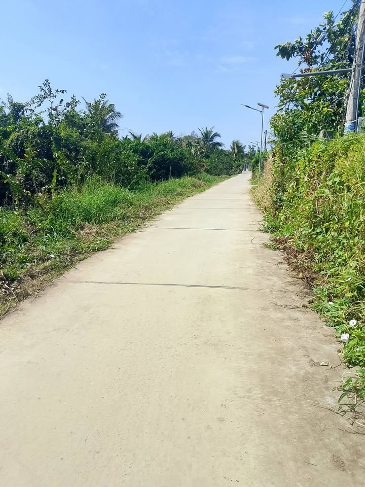 Đất nền Ấp Cái Tràm 1A, Bạc Liêu 6300m² giá 3.3 tỷ - Cơ hội đầu tư tuyệt vời!