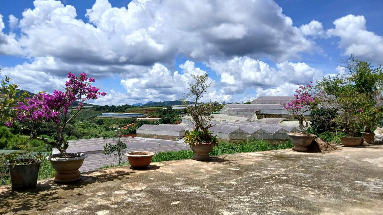 Nhà đẹp 1605m² tại Phường Xuân Trường, Đà Lạt - Giá 7.9 tỷ, Đầu tư sinh lời!